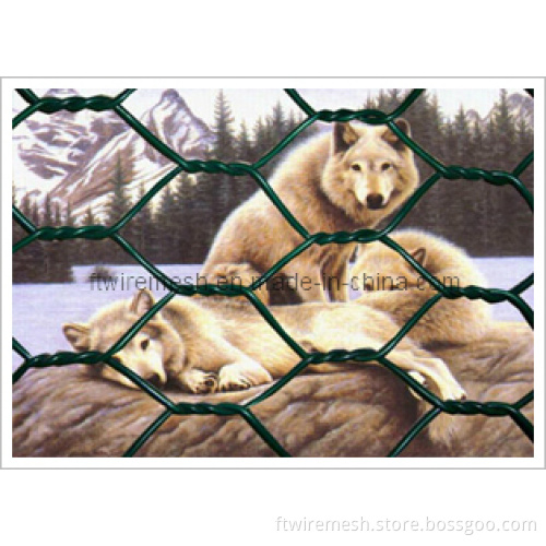 Hexagonal Wire Fence Used in Zoo